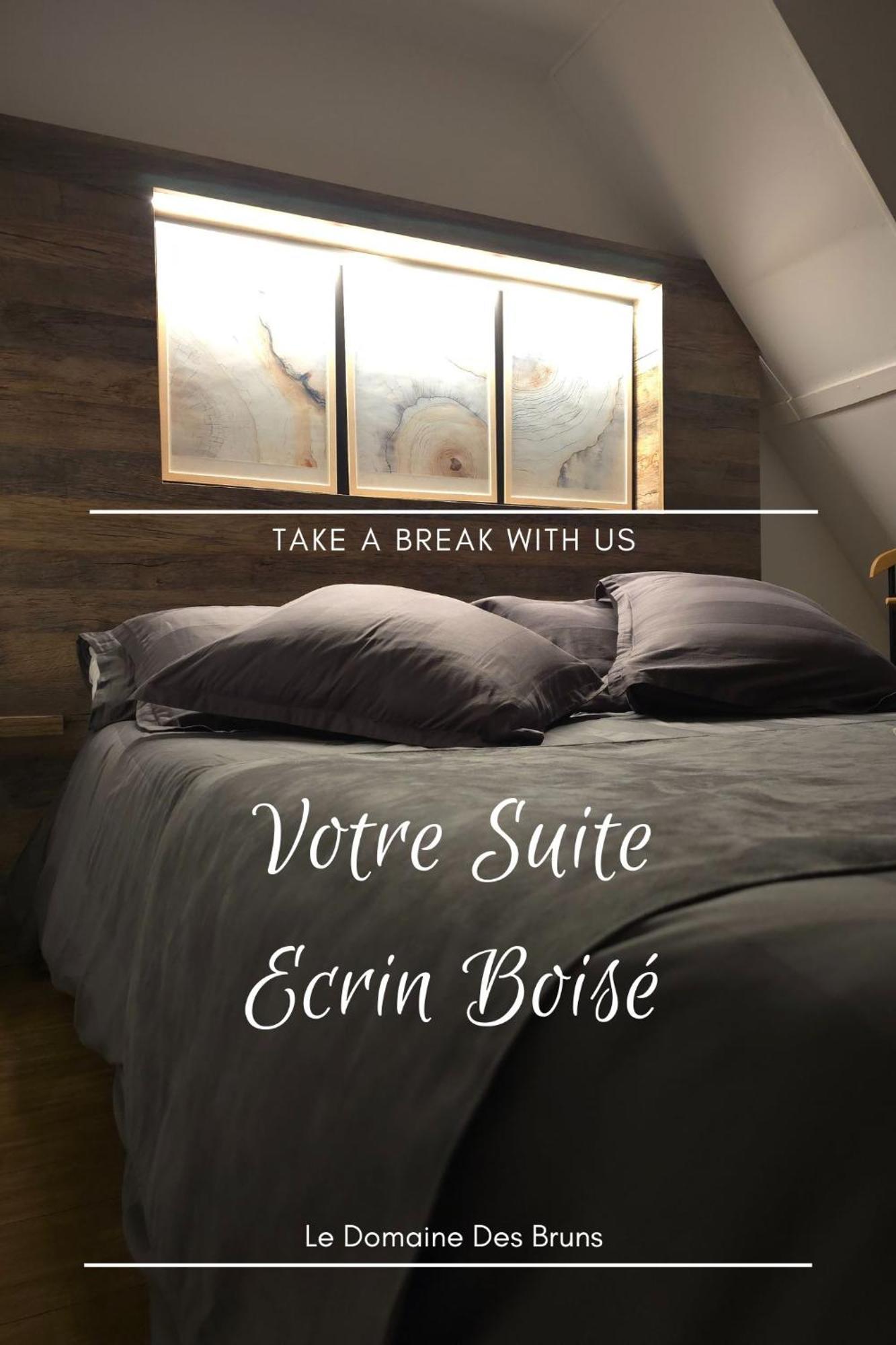 Bed and Breakfast Domaine Des Bruns Châtillon-Coligny Esterno foto